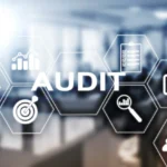 Audit